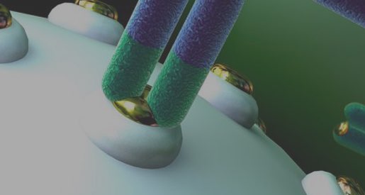 Nutraceticals Contact